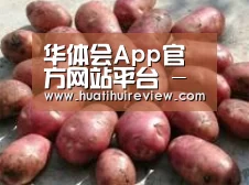 产品展示标题5