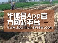 种植基地八