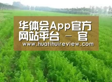 种植基地四