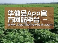 种植基地五(图1)