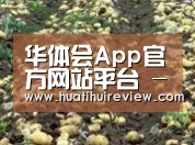 种植基地八(图1)