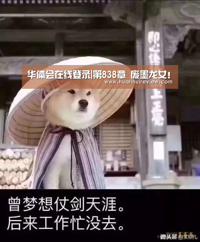 华体会在线登录