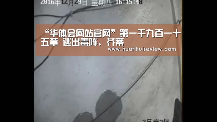 华体会网站官网