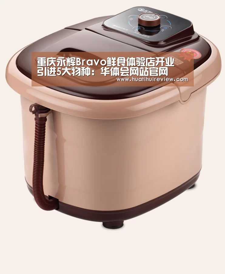 重庆永辉Bravo鲜食体验店开业 引进5大物种:华体会网站官网(图4) 华体会网站官网