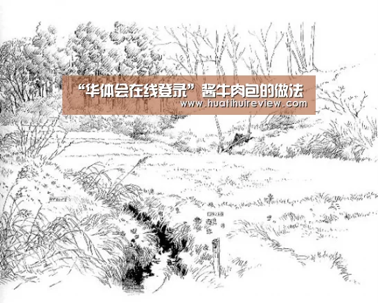 “华体会在线登录”酱牛肉包的做法(图1) 华体会在线登录